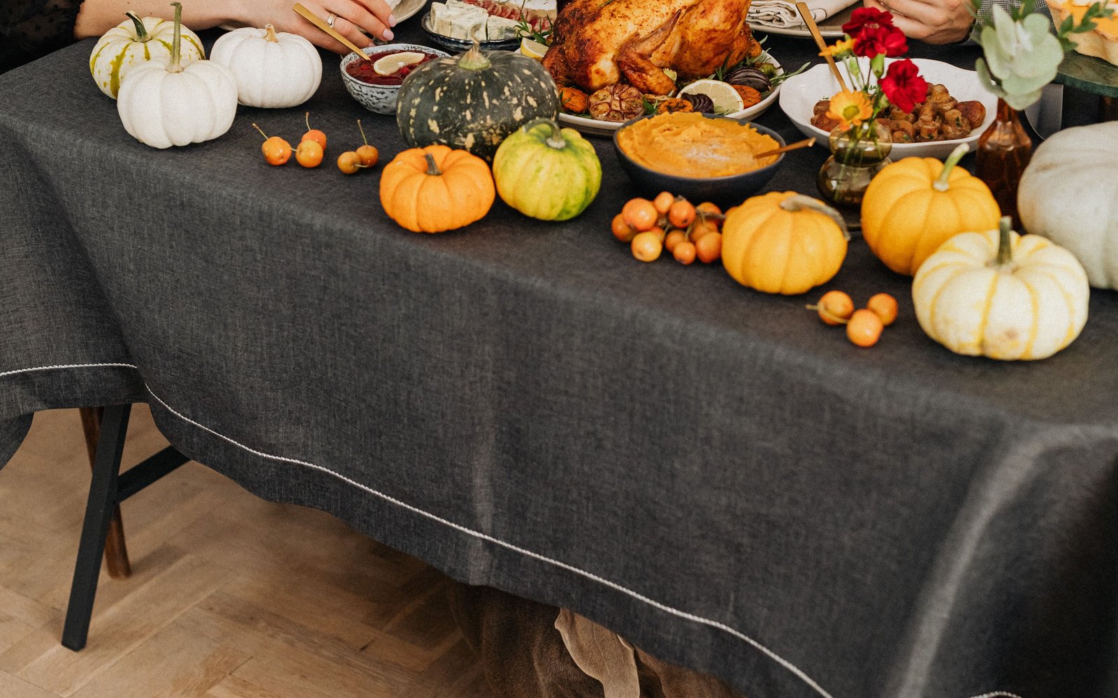 Thanksgiving Foods Toxic to Dogs and Cats: The Plate-by-Plate Guide